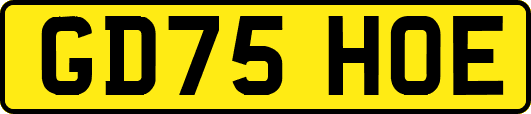 GD75HOE