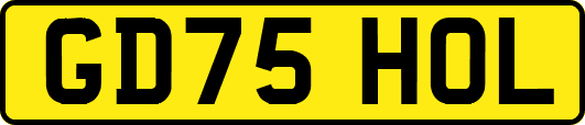 GD75HOL