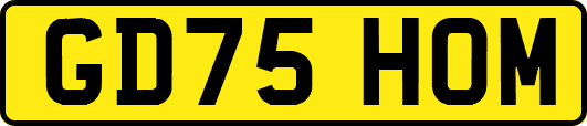 GD75HOM