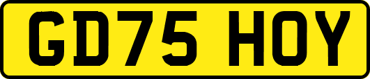 GD75HOY