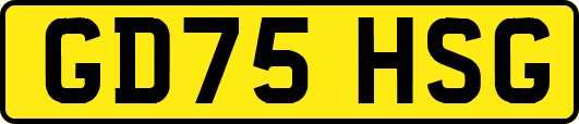 GD75HSG