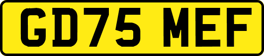 GD75MEF
