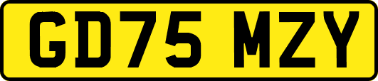 GD75MZY