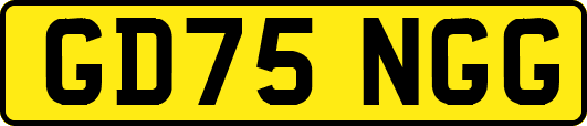 GD75NGG