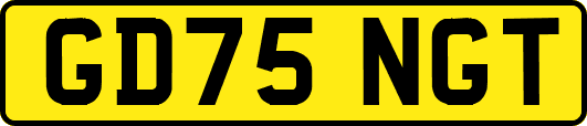 GD75NGT