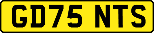 GD75NTS