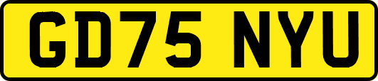 GD75NYU