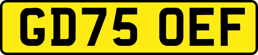 GD75OEF