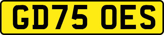 GD75OES