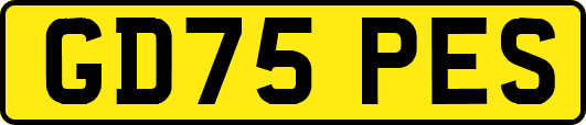 GD75PES