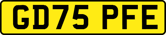 GD75PFE