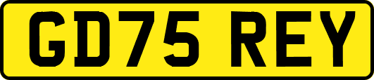 GD75REY
