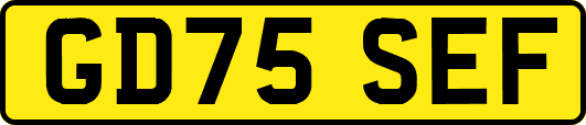 GD75SEF