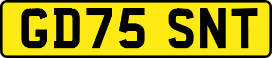 GD75SNT
