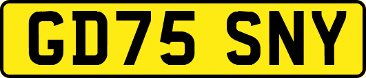 GD75SNY
