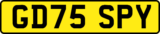GD75SPY