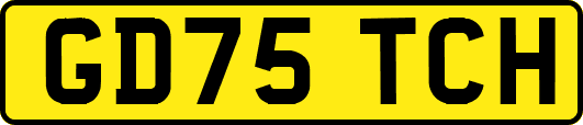 GD75TCH