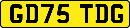 GD75TDG