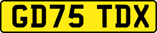 GD75TDX