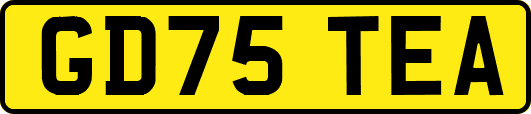 GD75TEA