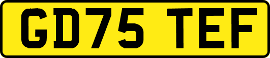 GD75TEF