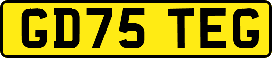 GD75TEG