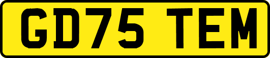 GD75TEM