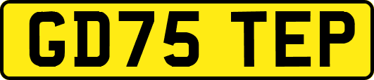 GD75TEP