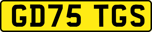 GD75TGS