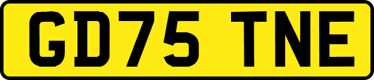 GD75TNE