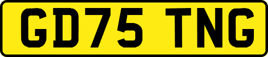 GD75TNG