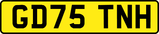 GD75TNH