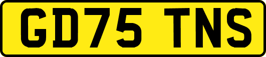 GD75TNS