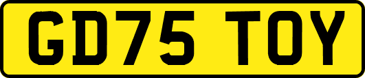 GD75TOY
