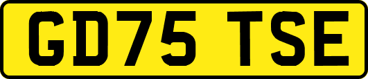 GD75TSE