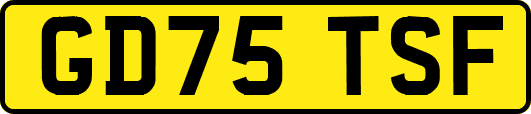GD75TSF