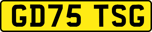 GD75TSG