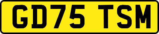 GD75TSM
