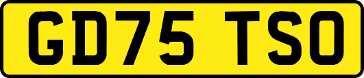 GD75TSO