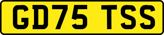 GD75TSS