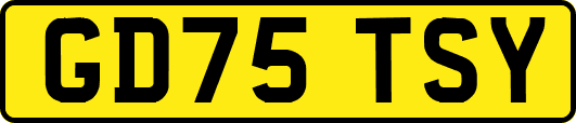 GD75TSY