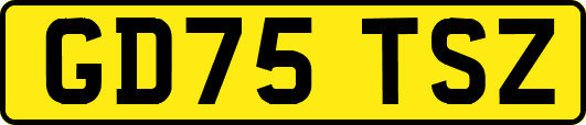 GD75TSZ