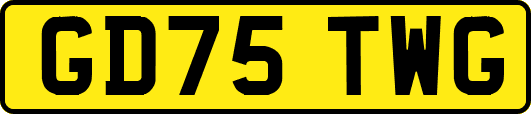 GD75TWG