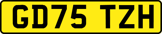 GD75TZH