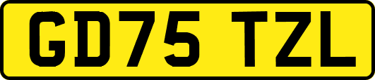 GD75TZL
