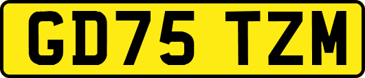 GD75TZM