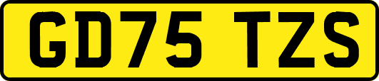 GD75TZS