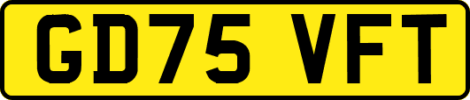 GD75VFT