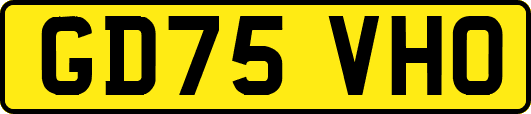 GD75VHO
