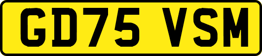 GD75VSM